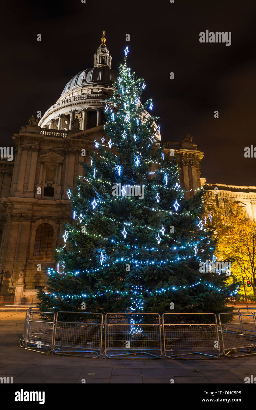 St Paul's cathedral with Christmas tree at night, London, UK Stock Photo