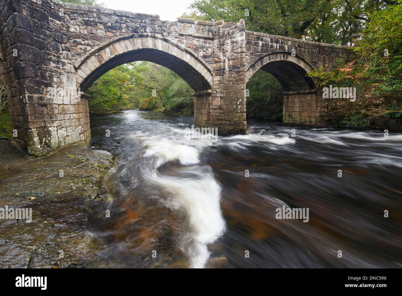 Historic bridge of the River Dart at Newbridge Dartmoor National Park