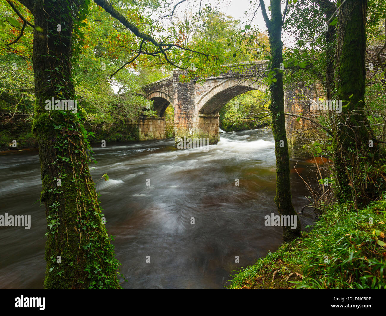 Historic bridge of the River Dart at Newbridge Dartmoor National Park