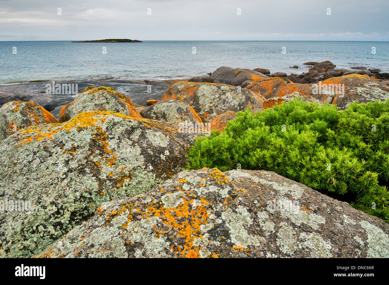 Lichen-covered rocks at Cape Donington in Lincoln National Park. Stock Photo