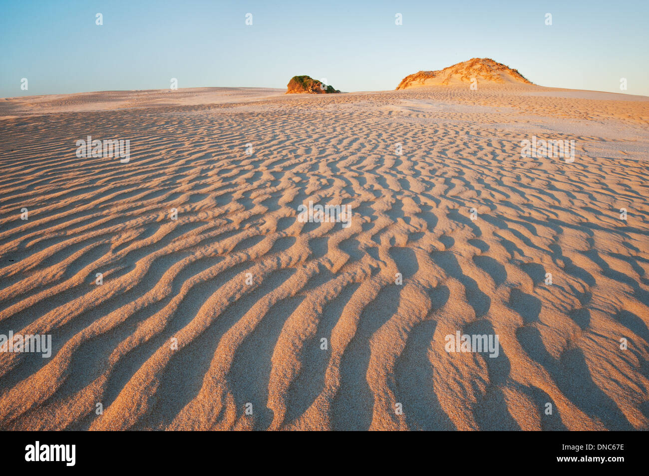 Sand dunes of Tea Tree Crossing in Coorong National Park. Stock Photo