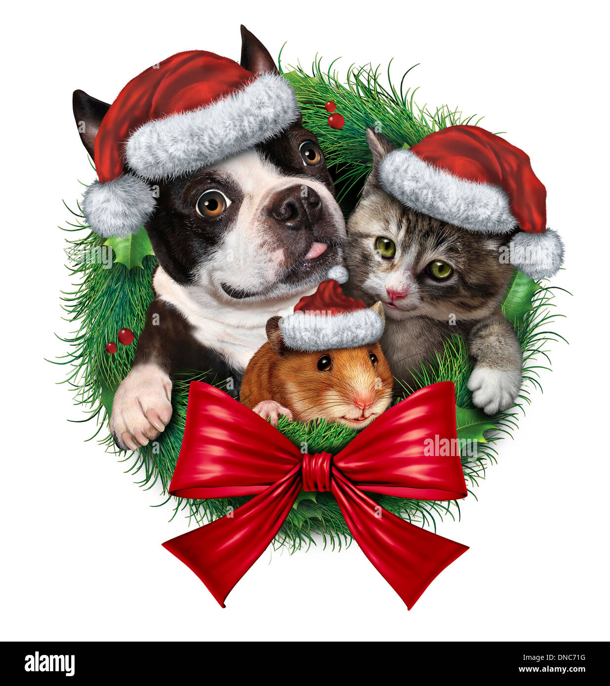 Pets holiday wreath with a dog cat and hamster wearing Christmas hats as a symbol of veterinary medicine and pet store or animal adoption issues during the winter season celebration on a white background. Stock Photo
