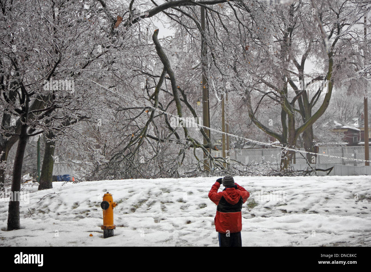 Toronto, Canada. 22nd Dec, 2013. Major Ice Storm and freezing rain caused damages to power lines and trees in Davisville Park in midtown Toronto. An unknown man is taking photographs. Credit:  CharlineXia/Alamy Live News Stock Photo