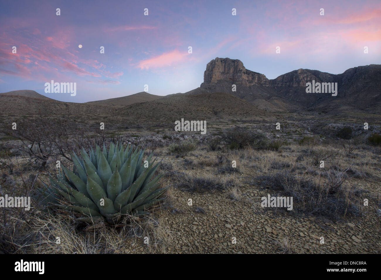Guadalupe Peak is the tallest point in Texas located in Guadalupe Mountains National Park and