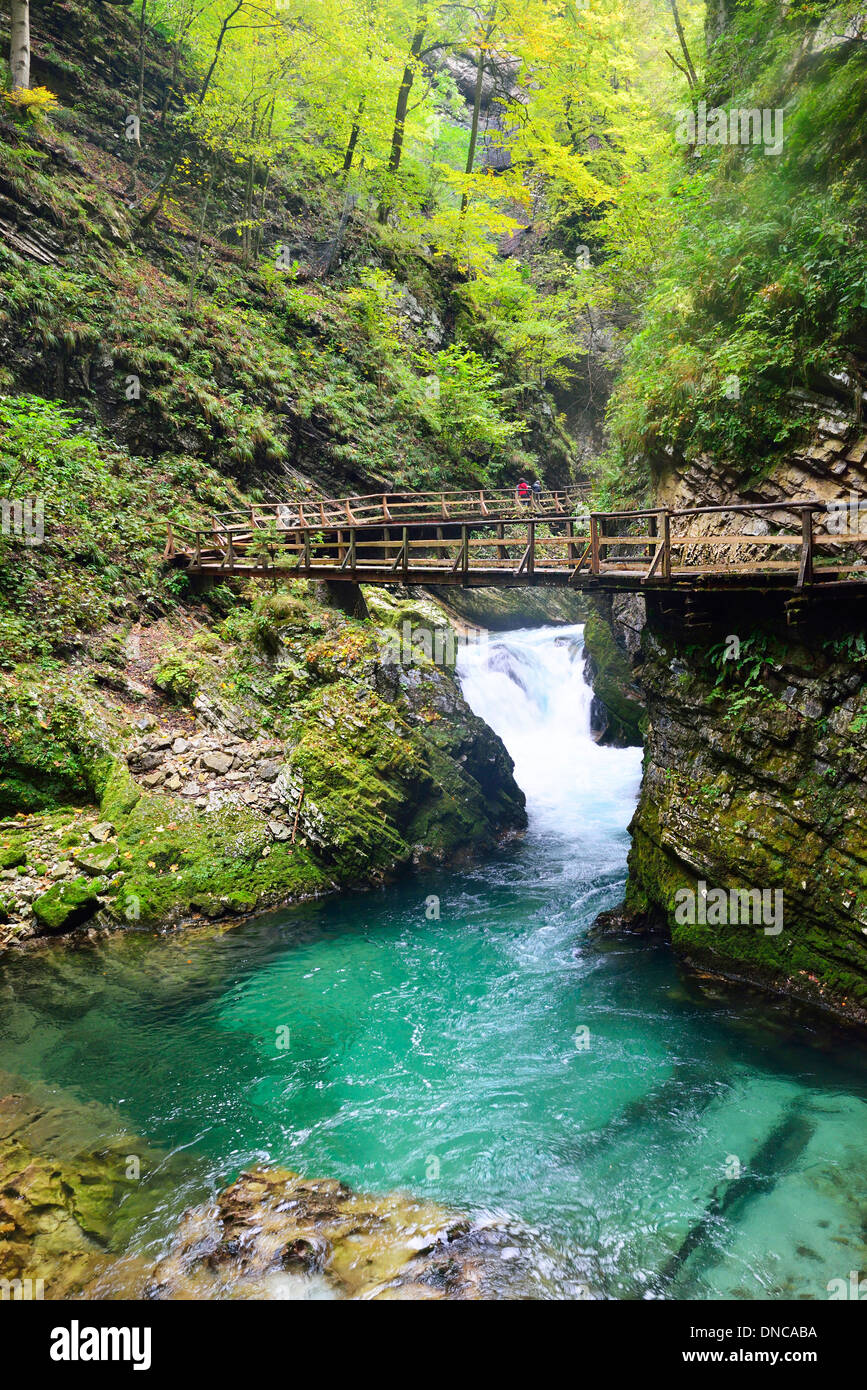 A spectacular walk in the Vintgar Gorge on board walks over the  emerald water of the Radovna river below. Triglav National Park, Slovenia Stock Photo