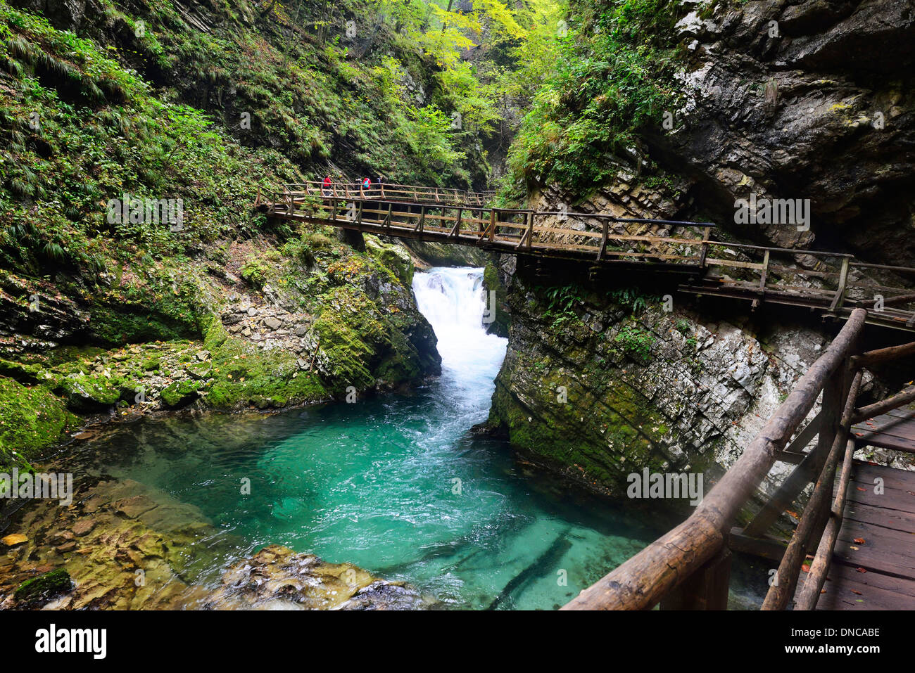 A spectacular walk in the Vintgar Gorge on board walks over the  emerald water of the Radovna river below Stock Photo