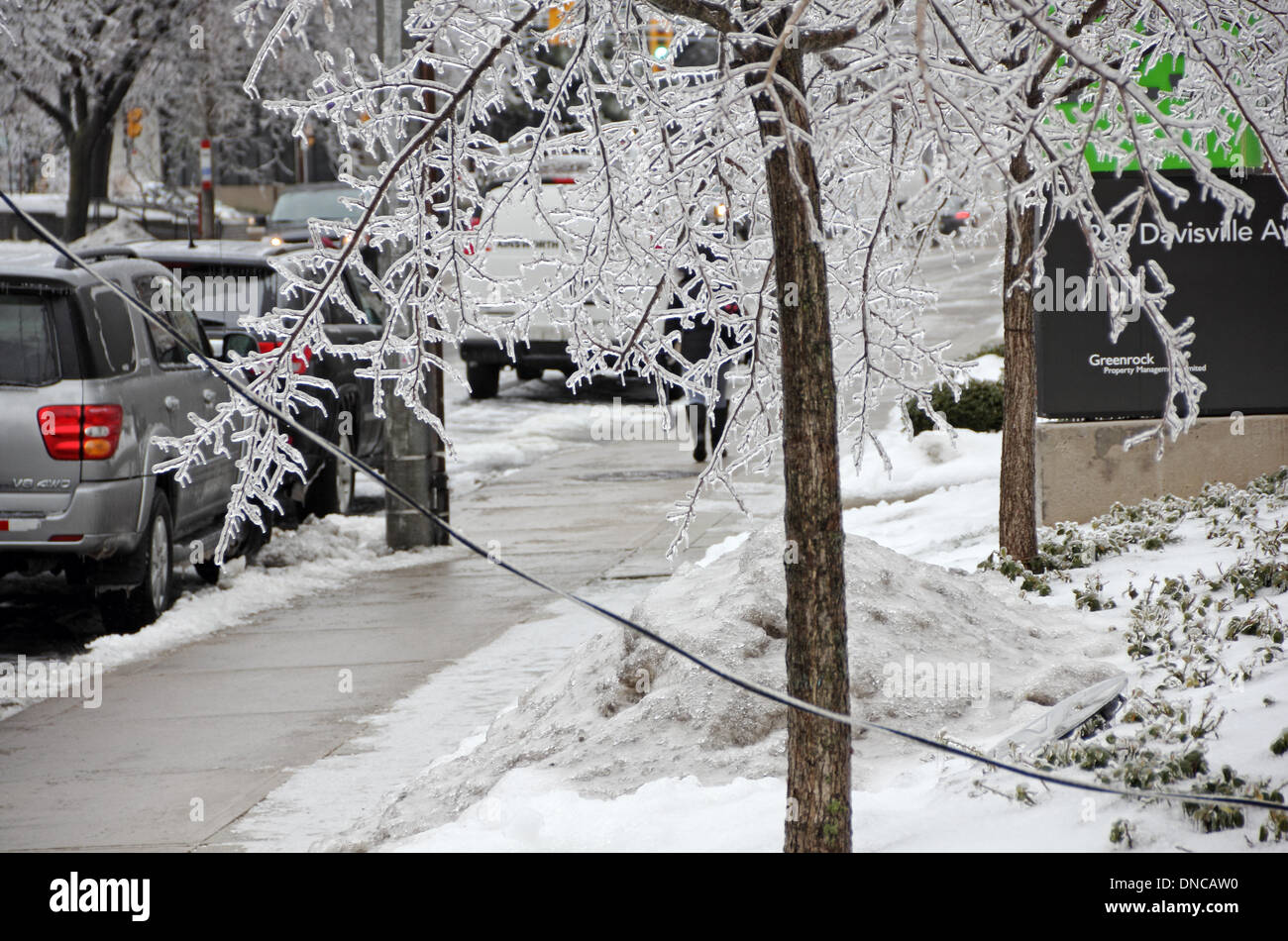 Toronto, Canada. 22nd Dec, 2013. Major Ice Storm and freezing rain caused fallen electrical lines and slippery road conditions in midtown Toronto. Credit:  CharlineXia/Alamy Live News Stock Photo