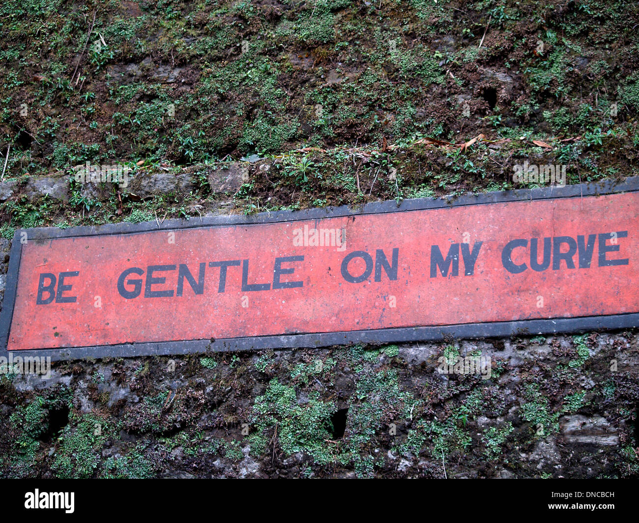Funny Road Signs In India Daily Record vrogue.co