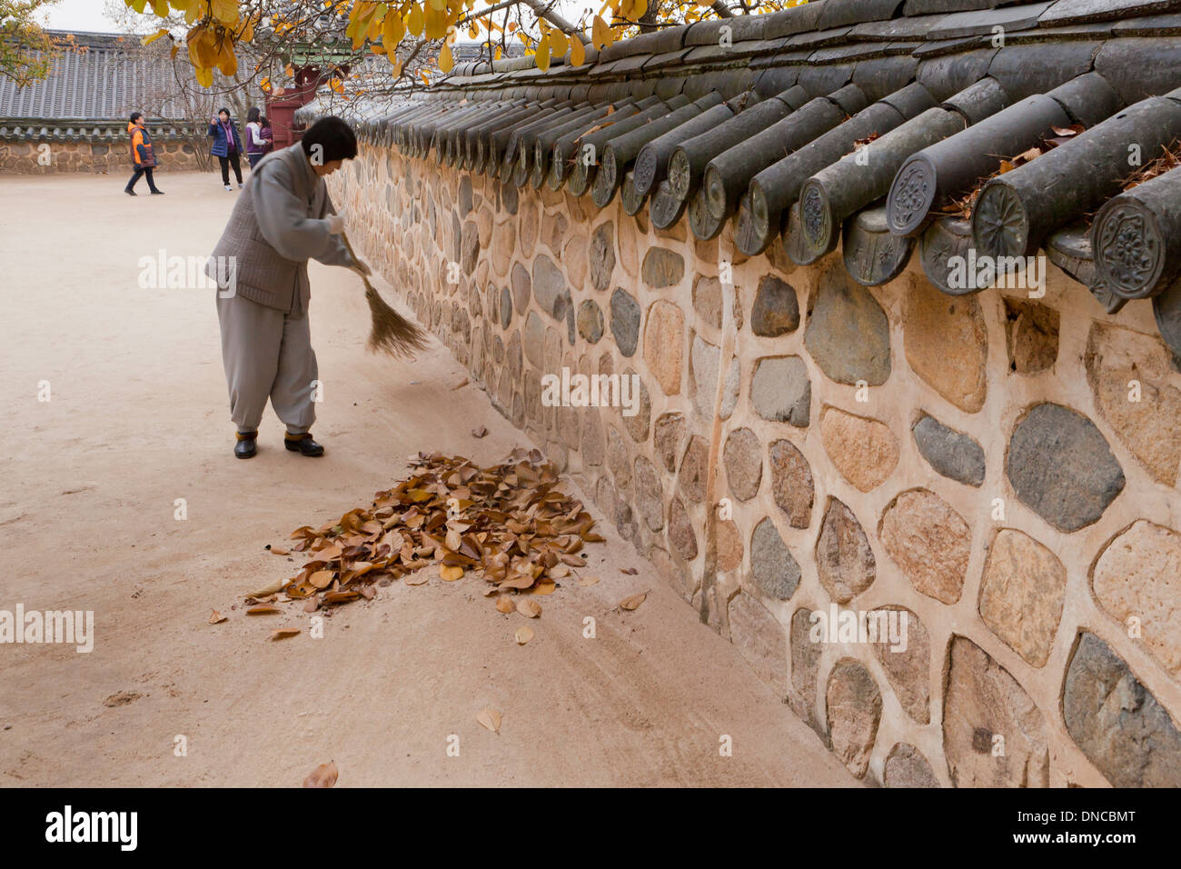 Female Buddhist monk sweeping leaves on temple grounds - Gyeongju, South Korea Stock Photo