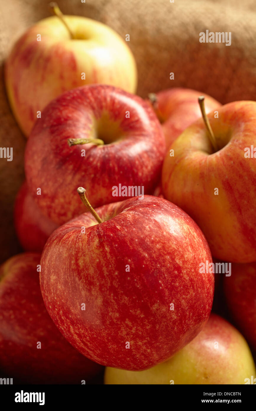 fresh royal gala apples Stock Photo - Alamy