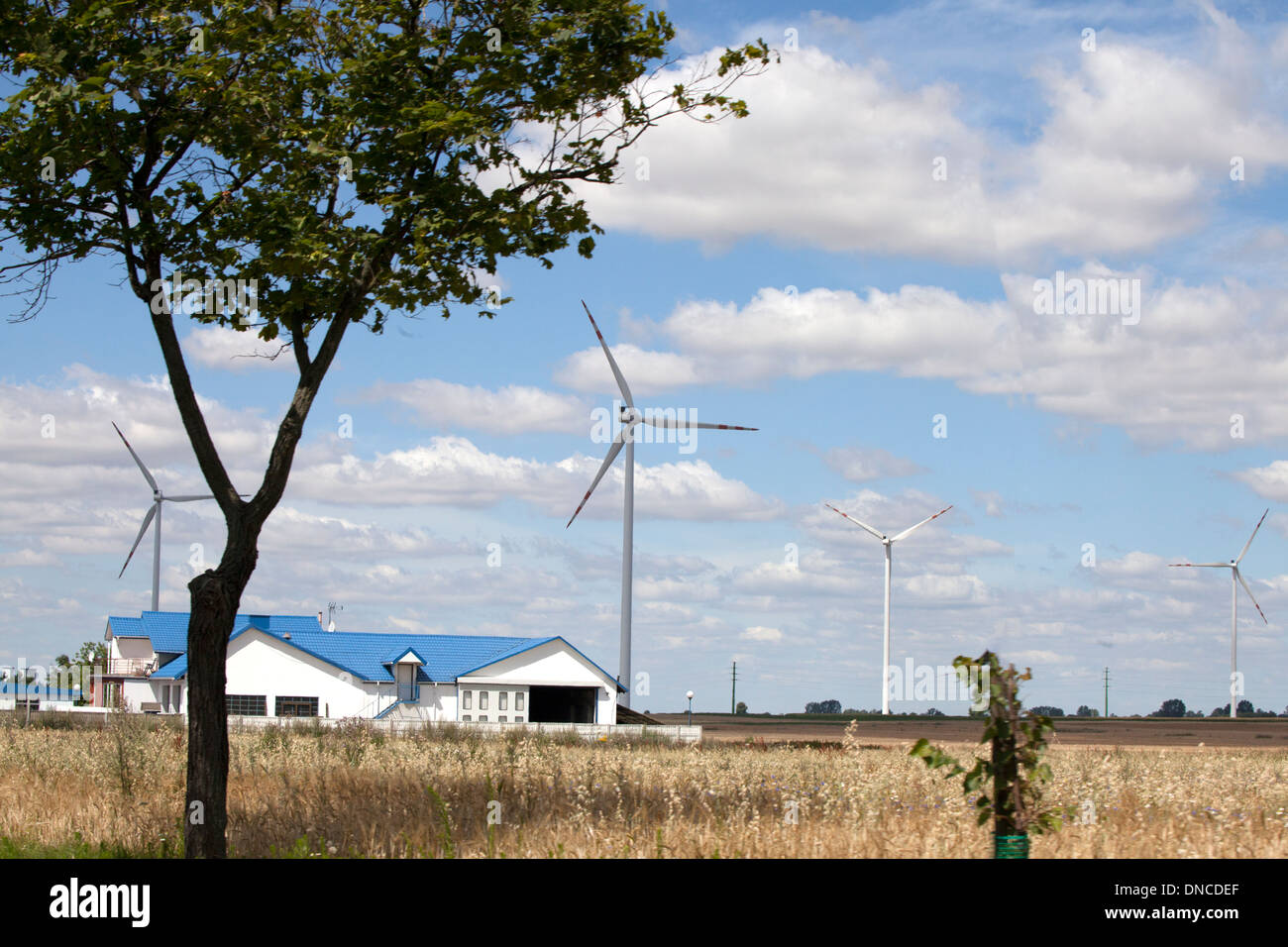 Wind turbines producing electricity in the Polish countryside. Rawa
