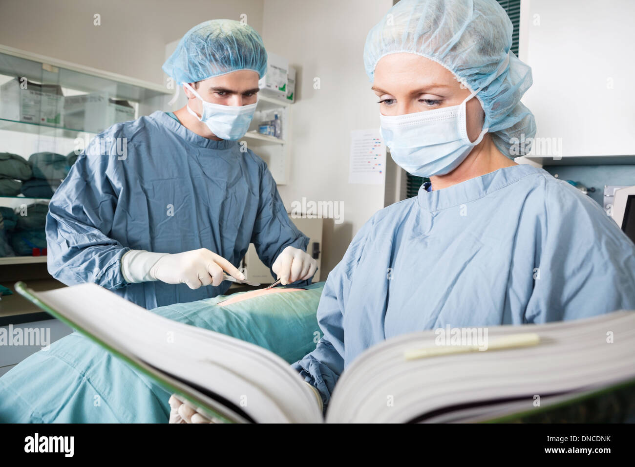 Veterinarian Doctor And Female Assistant In Surgical Theatre Stock Photo