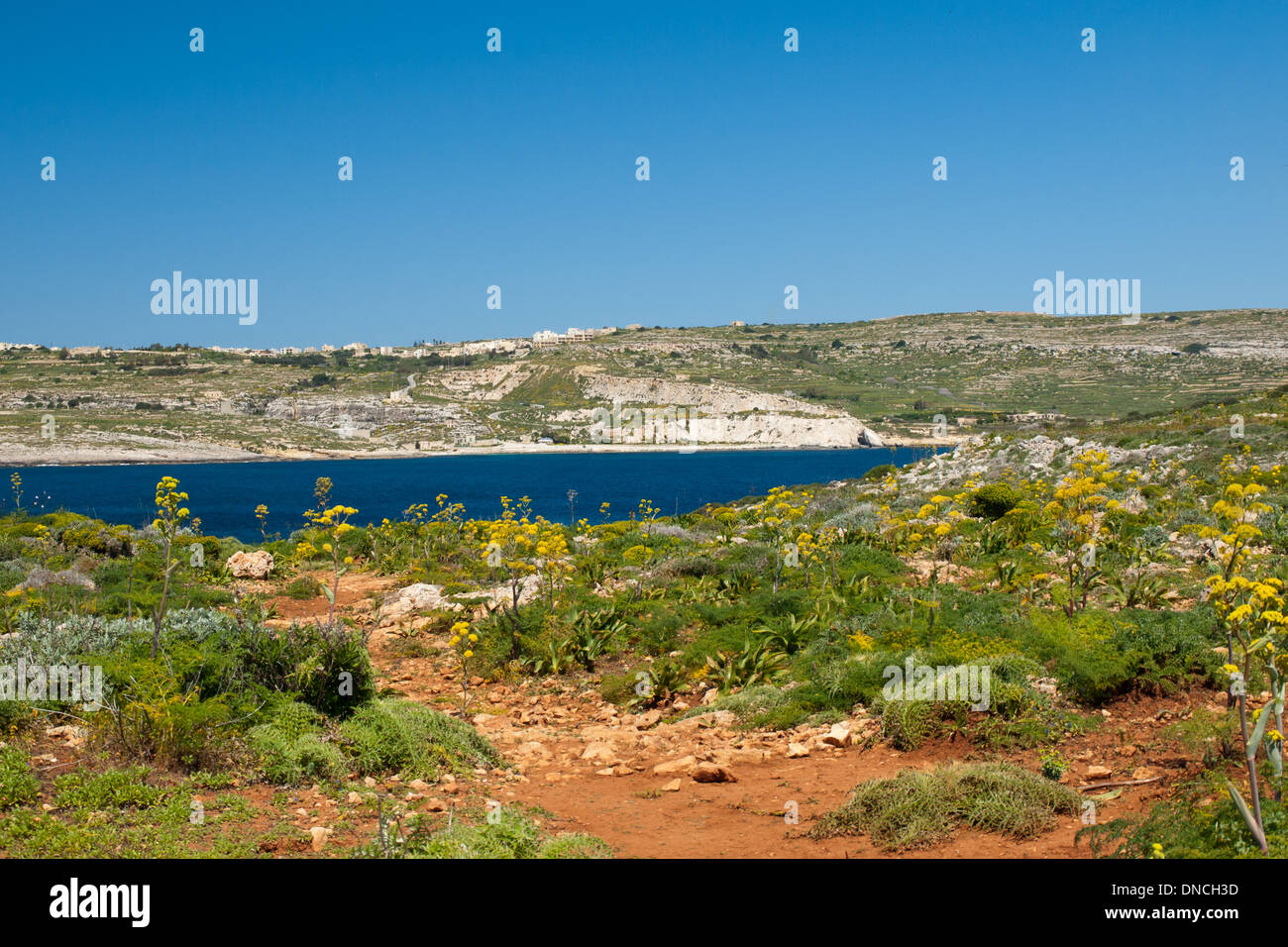 A view of the vegetation and shrubland on the island of Comino, Malta.  The island of Gozo is in the distance. Stock Photo