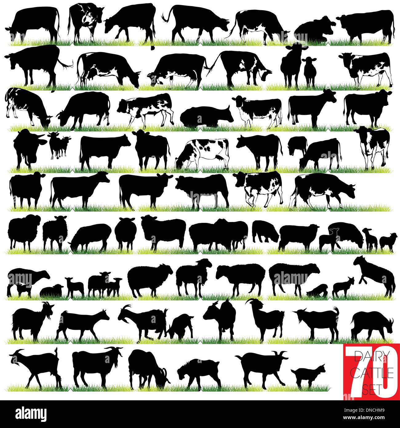 Dairy Cattle Silhouettes Set Stock Vector Image & Art - Alamy