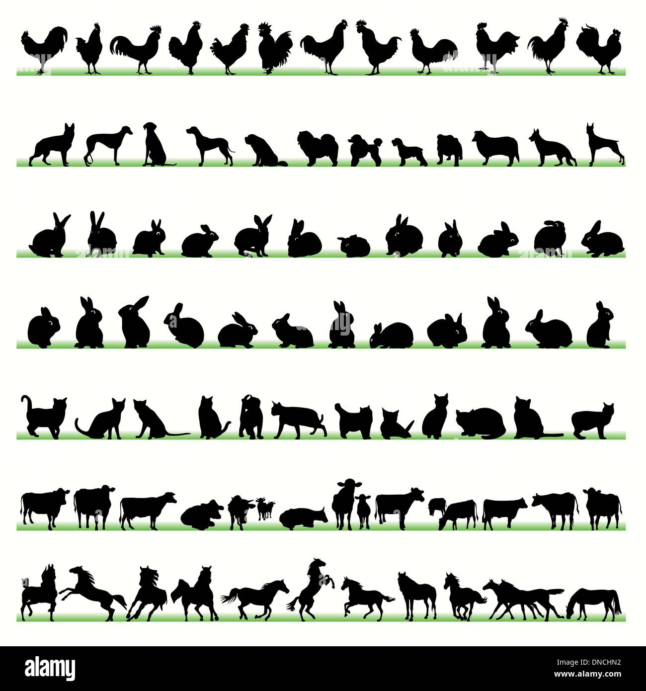 Farm animals silhouettes set Stock Vector Image & Art - Alamy