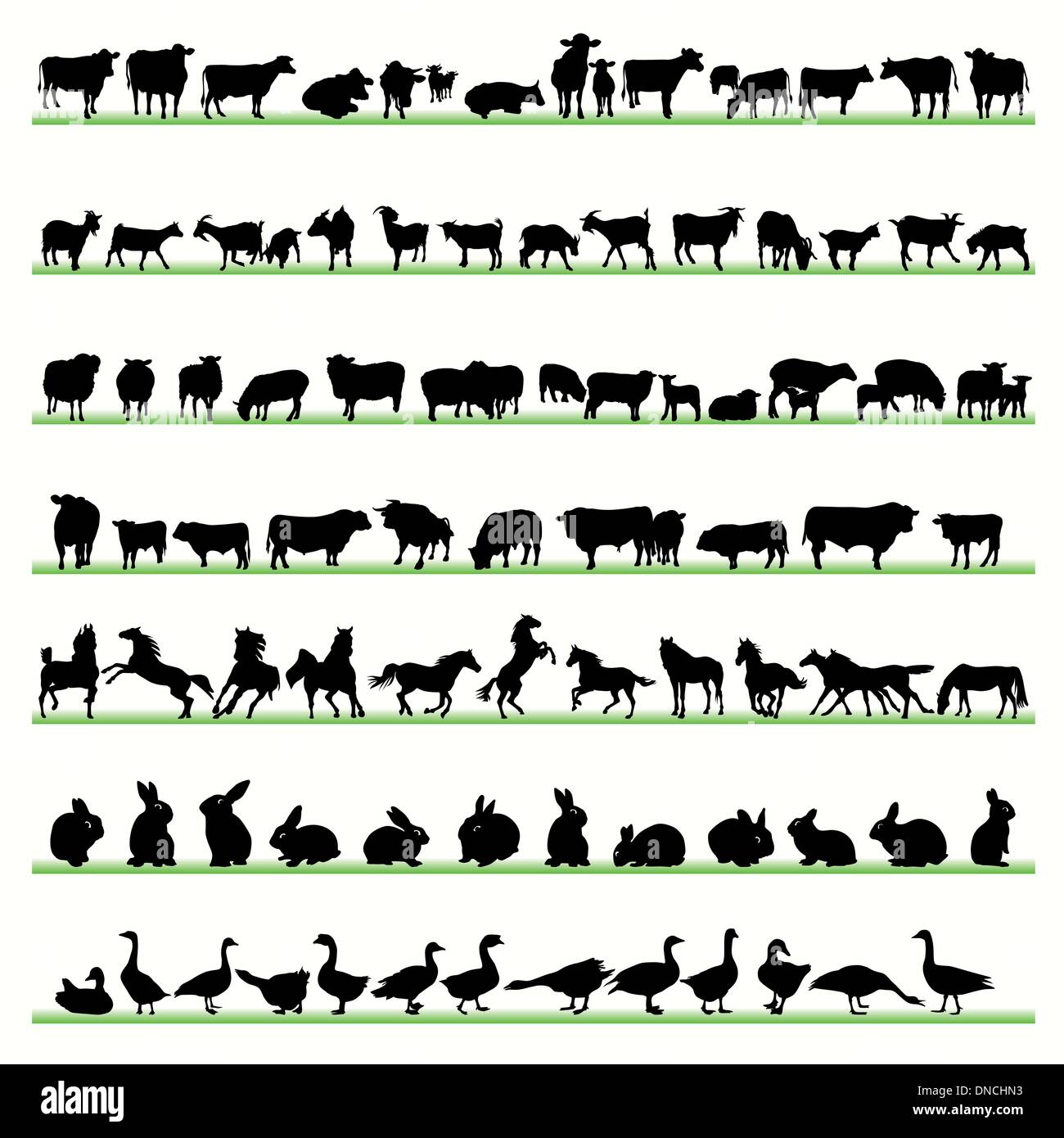 Farm animals silhouettes set Stock Vector Image & Art - Alamy