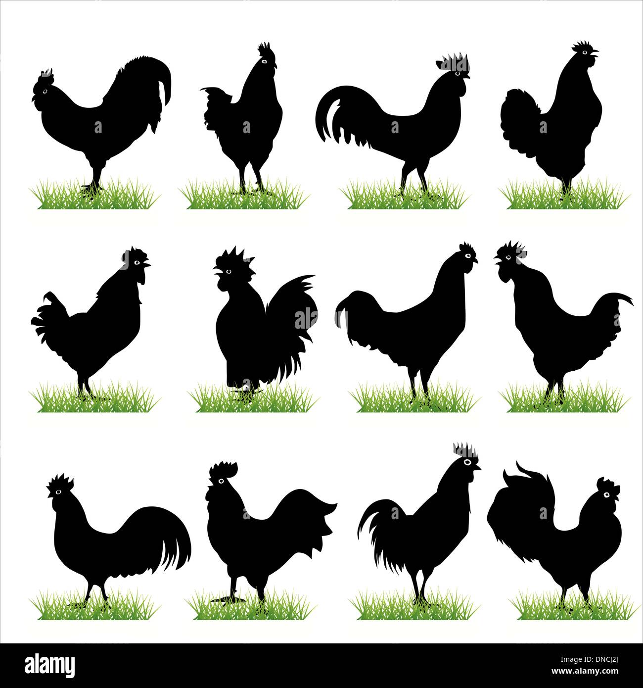Rooster Silhouettes Set Stock Vector Image &amp; Art - Alamy