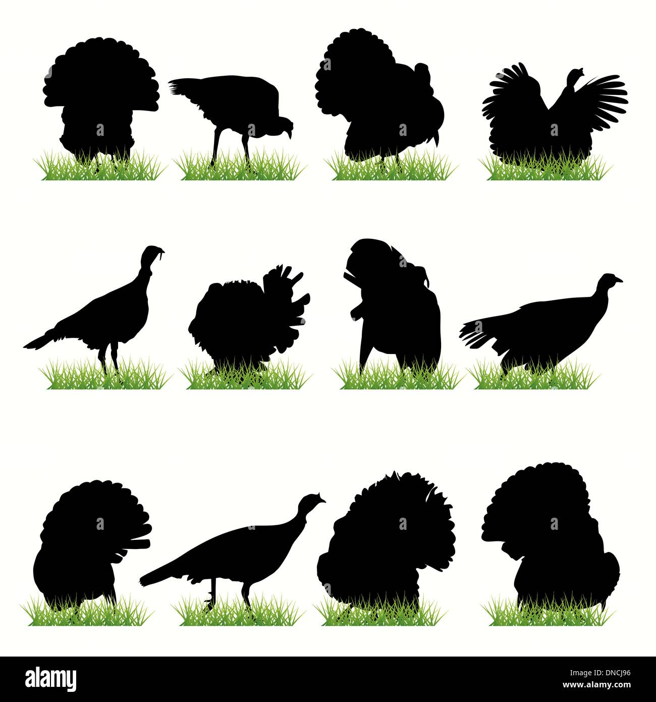 Turkey silhouettes set Stock Vector