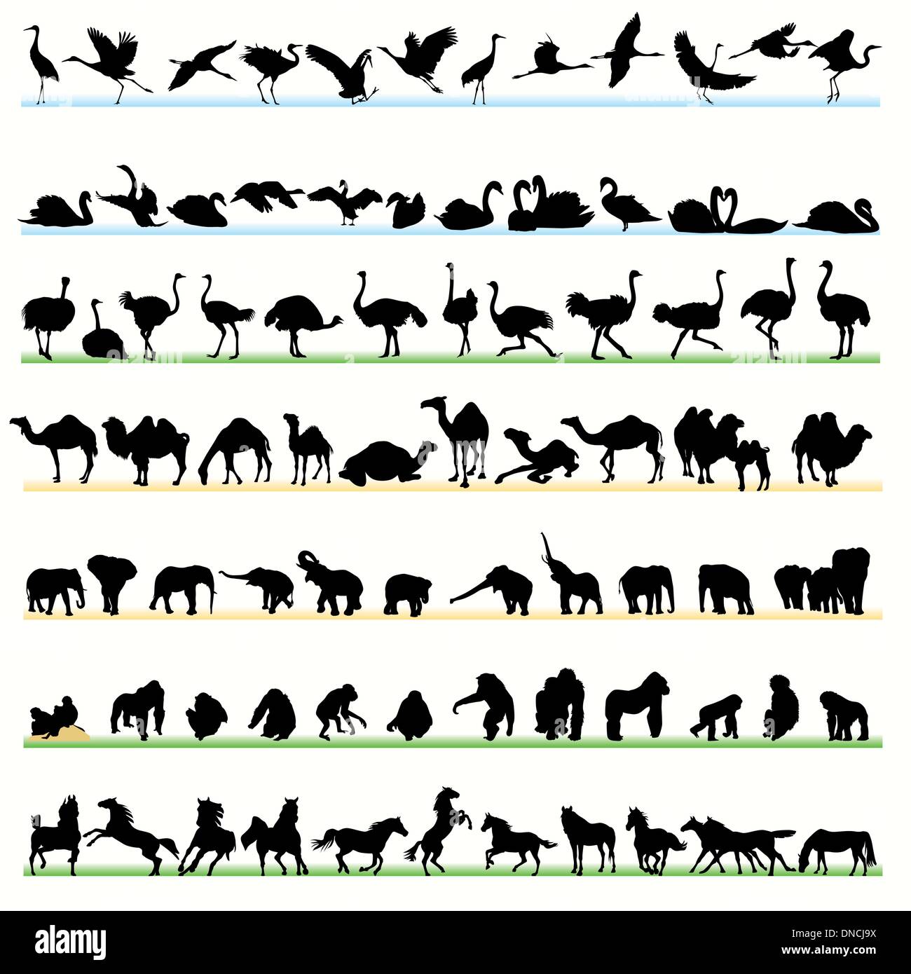Wild animals silhouettes set Stock Vector Image & Art - Alamy