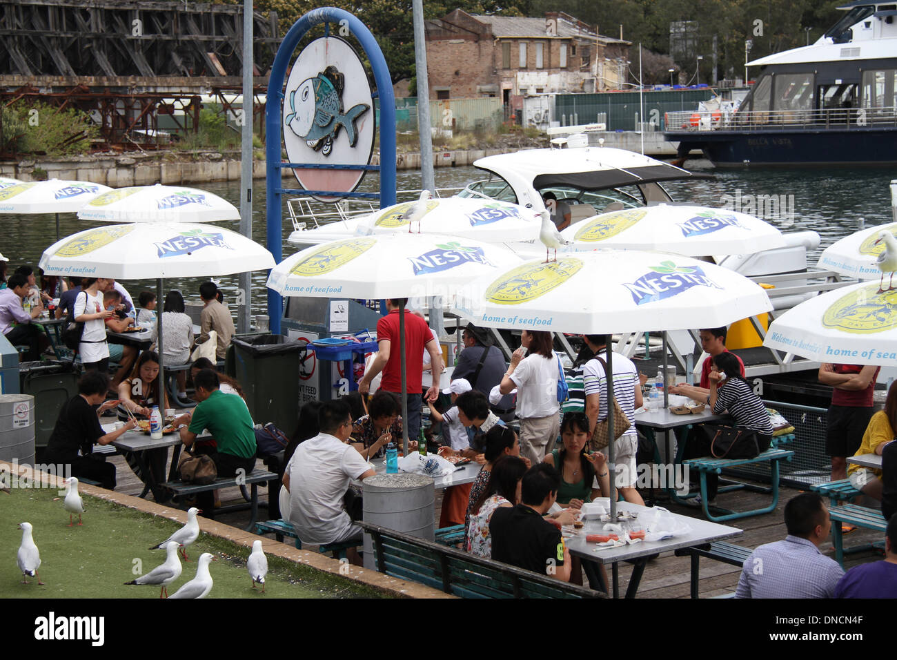 Sydney Fish Market, Pyrmont, Sydney, NSW, Australia. 23 December 2013