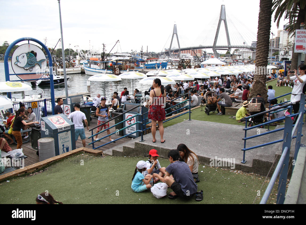 Sydney Fish Market, Pyrmont, Sydney, NSW, Australia. 23 December 2013