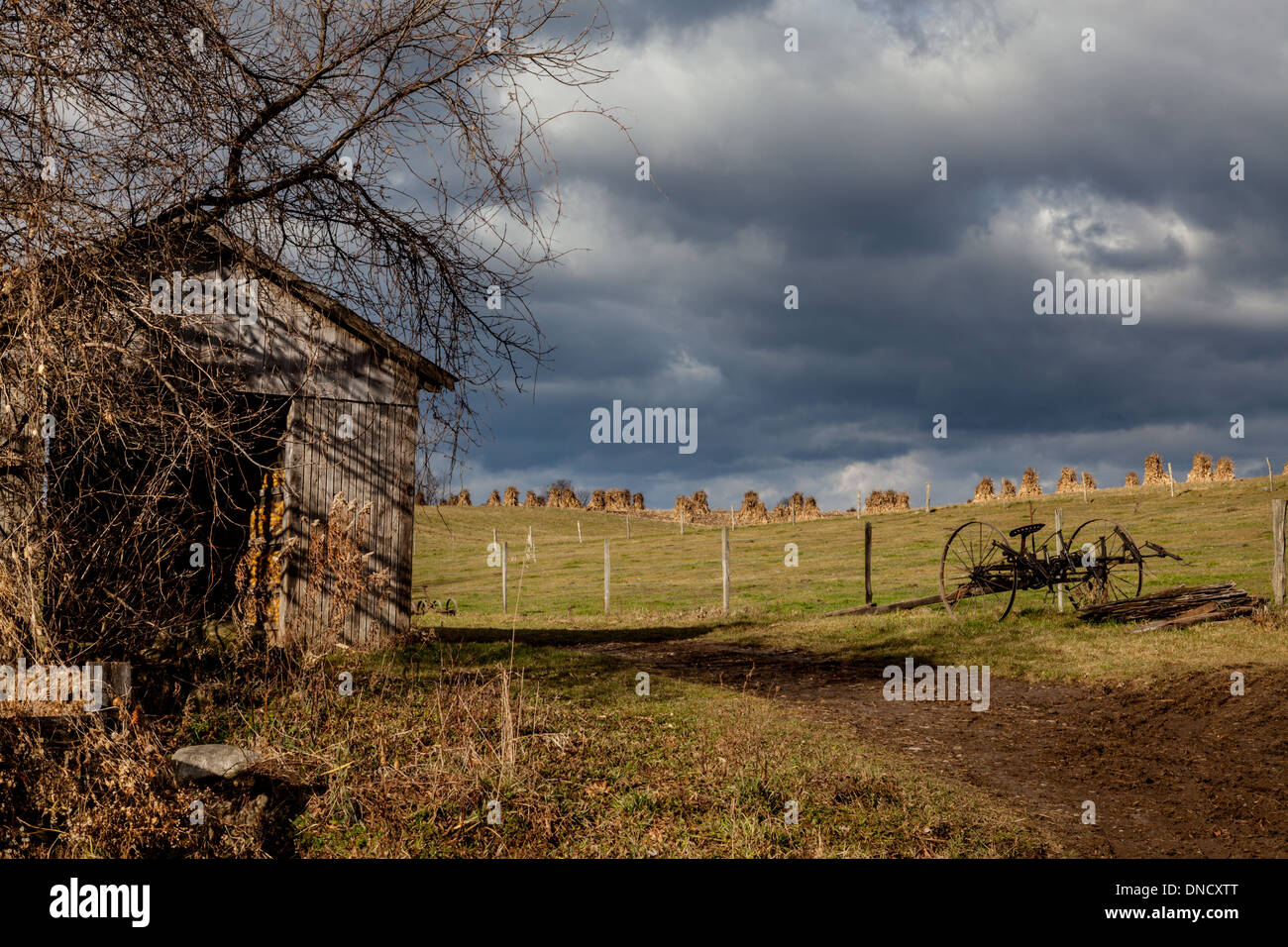 Amish in new york hires stock photography and images Alamy