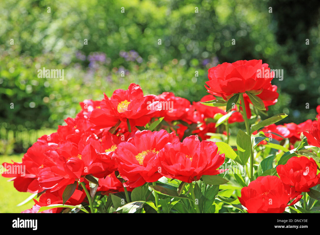 Switzerland basel hires stock photography and images Alamy