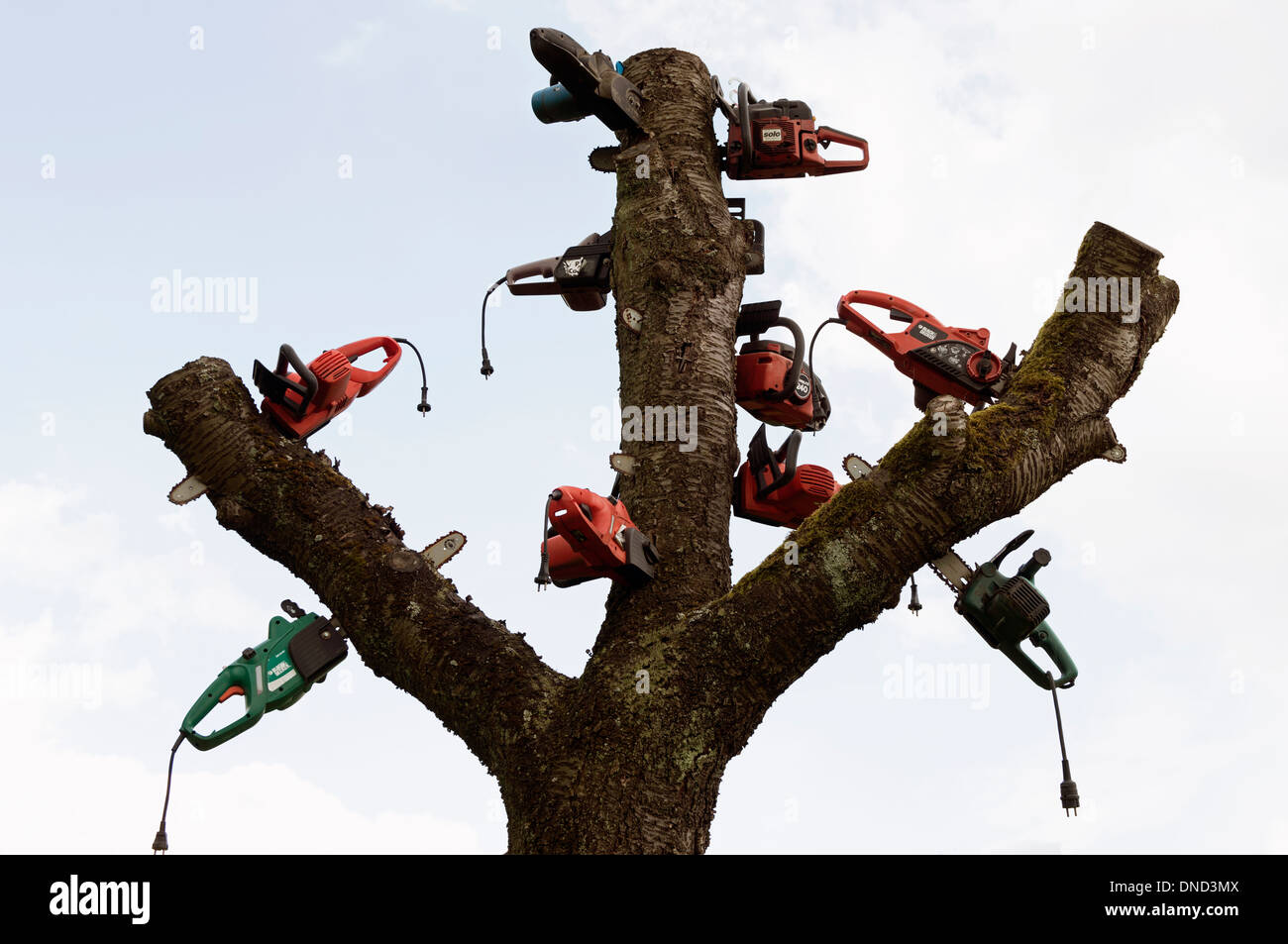 Disused electric chainsaws displayed in a tree Stock Photo