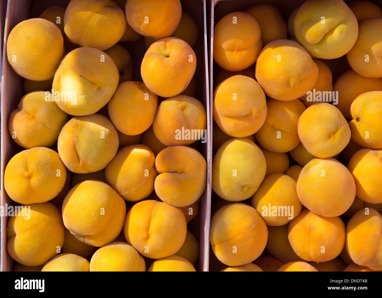 Calanda peaches rainfed from Teruel Spain in baskets at market Stock Photo