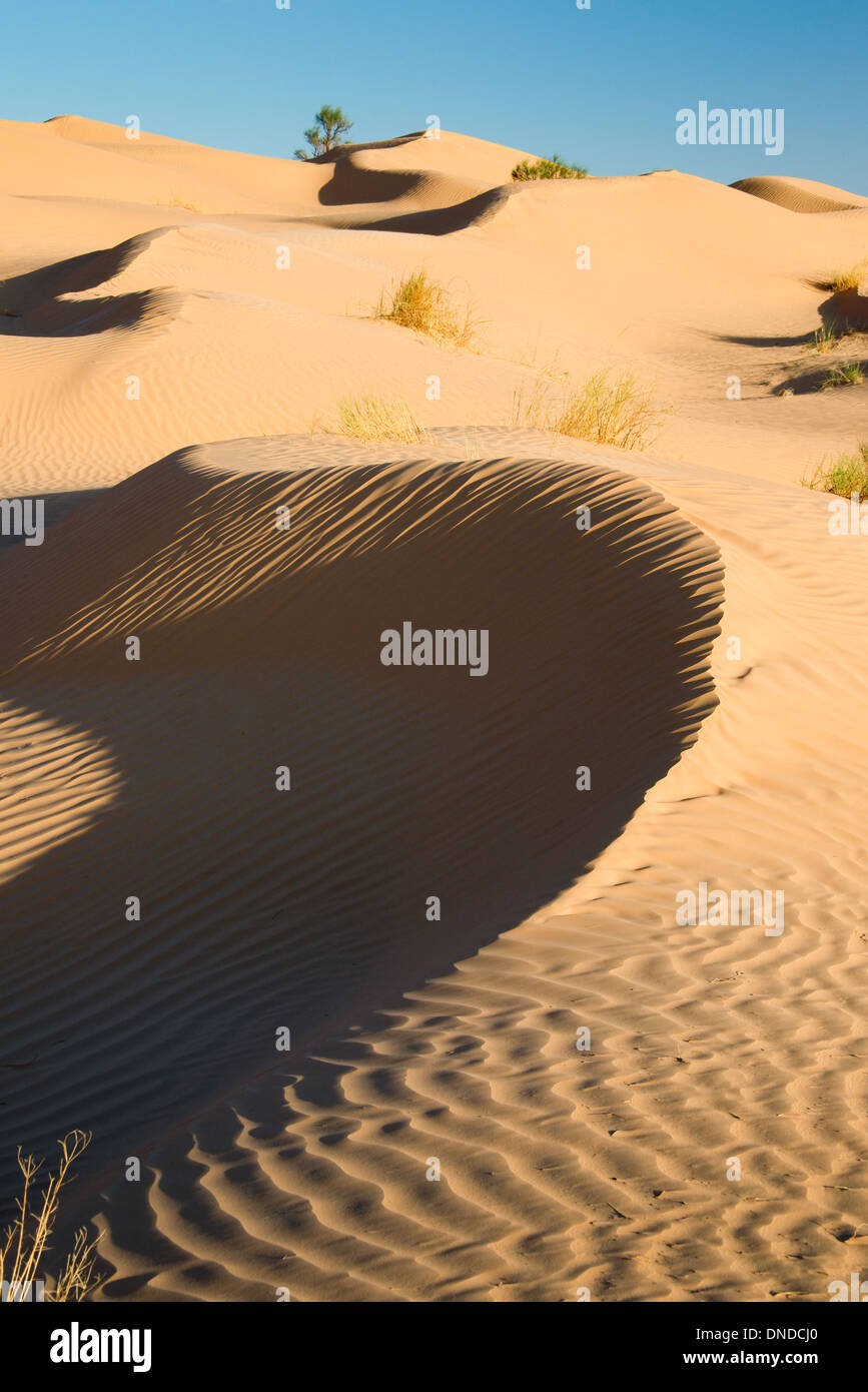 Sand dunes of the Great Oriental Erg of the desert of Sahara - Tunisia Stock Photo