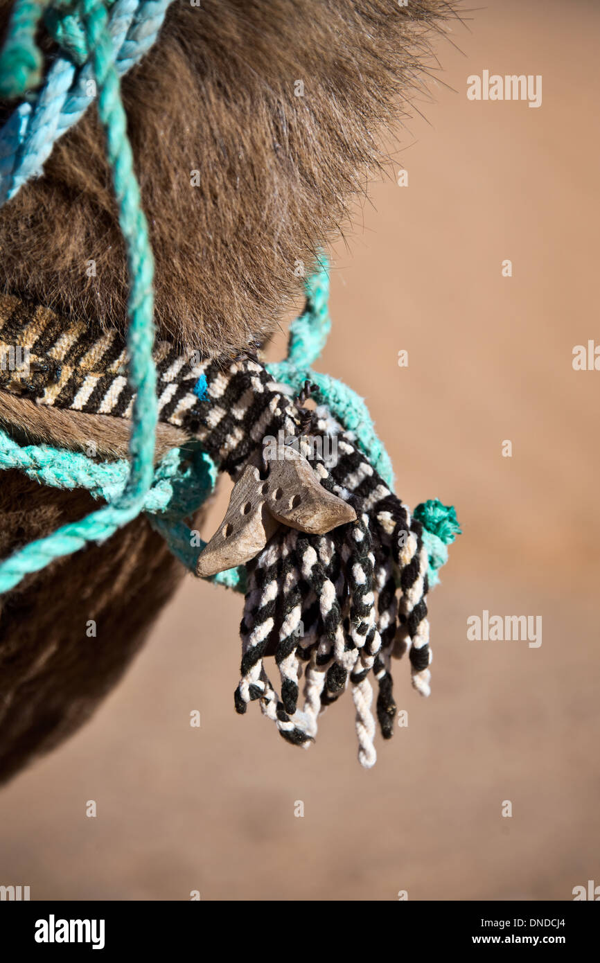 Lucky charm on a camel's neck -  the Great Oriental Erg, desert of Sahara - Tunisia Stock Photo
