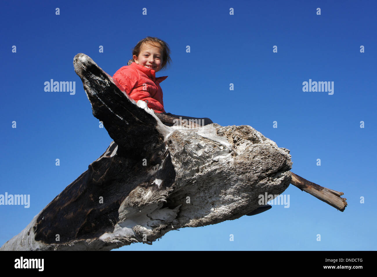 Girl sitting on a driftwood that looks like a whale breaching, Alaska Stock Photo
