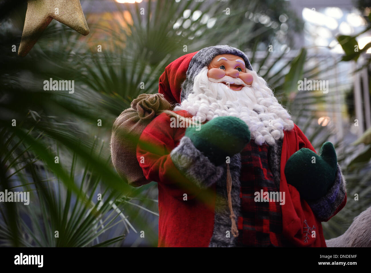 Frankfurt Main, Germany. 17th Dec, 2013. A Father Christmas figure stands between palm trees in the foyer of the palm garden in Frankfurt Main, Germany, 17 December 2013. Photo: Andreas Arnold/dpa/Alamy Live News Stock Photo