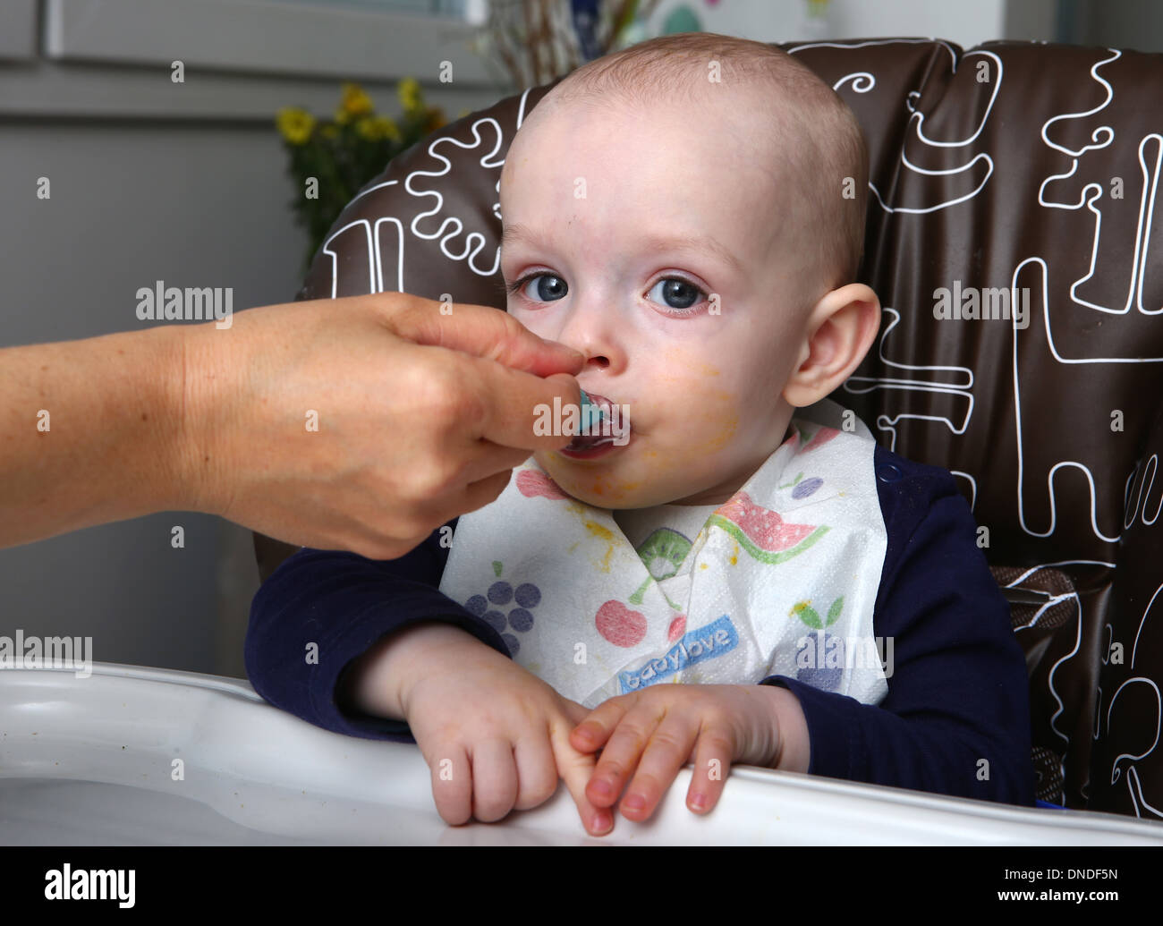 Boy, 9 months, being fed Stock Photo