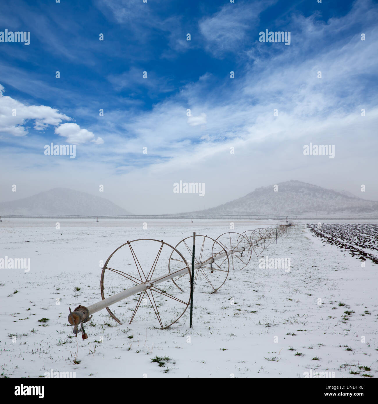 Cereal fields with irrigation wheels with snow in Nevada USA Stock ...