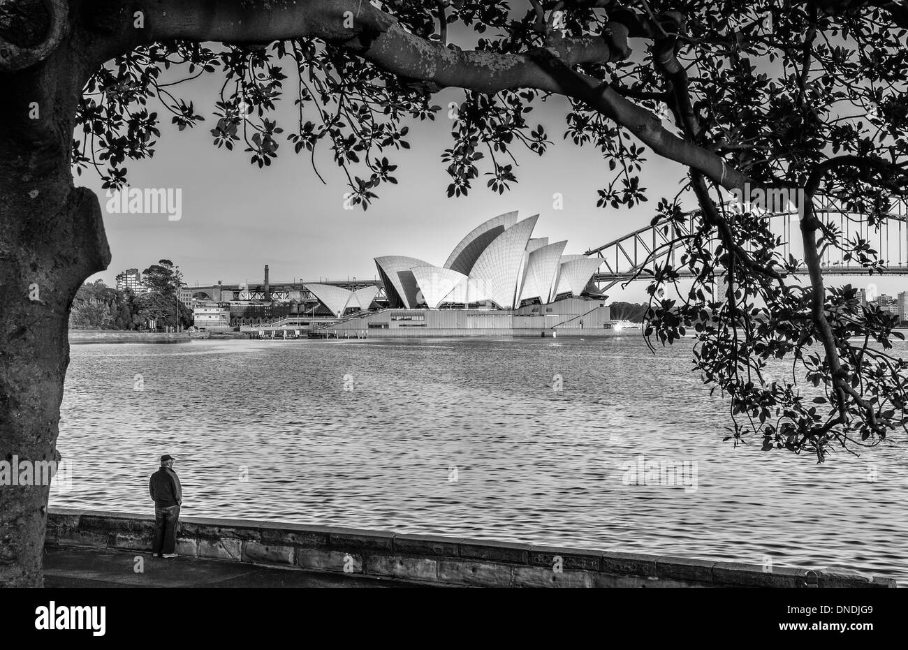 A man looking at the Sydney Opera House, Sydney, New South Wales, Australia Stock Photo