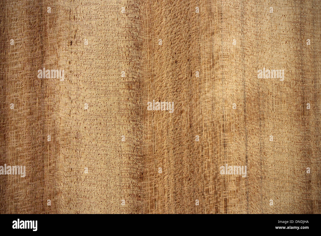 African Teak Stock Photos African Teak Stock Images Alamy