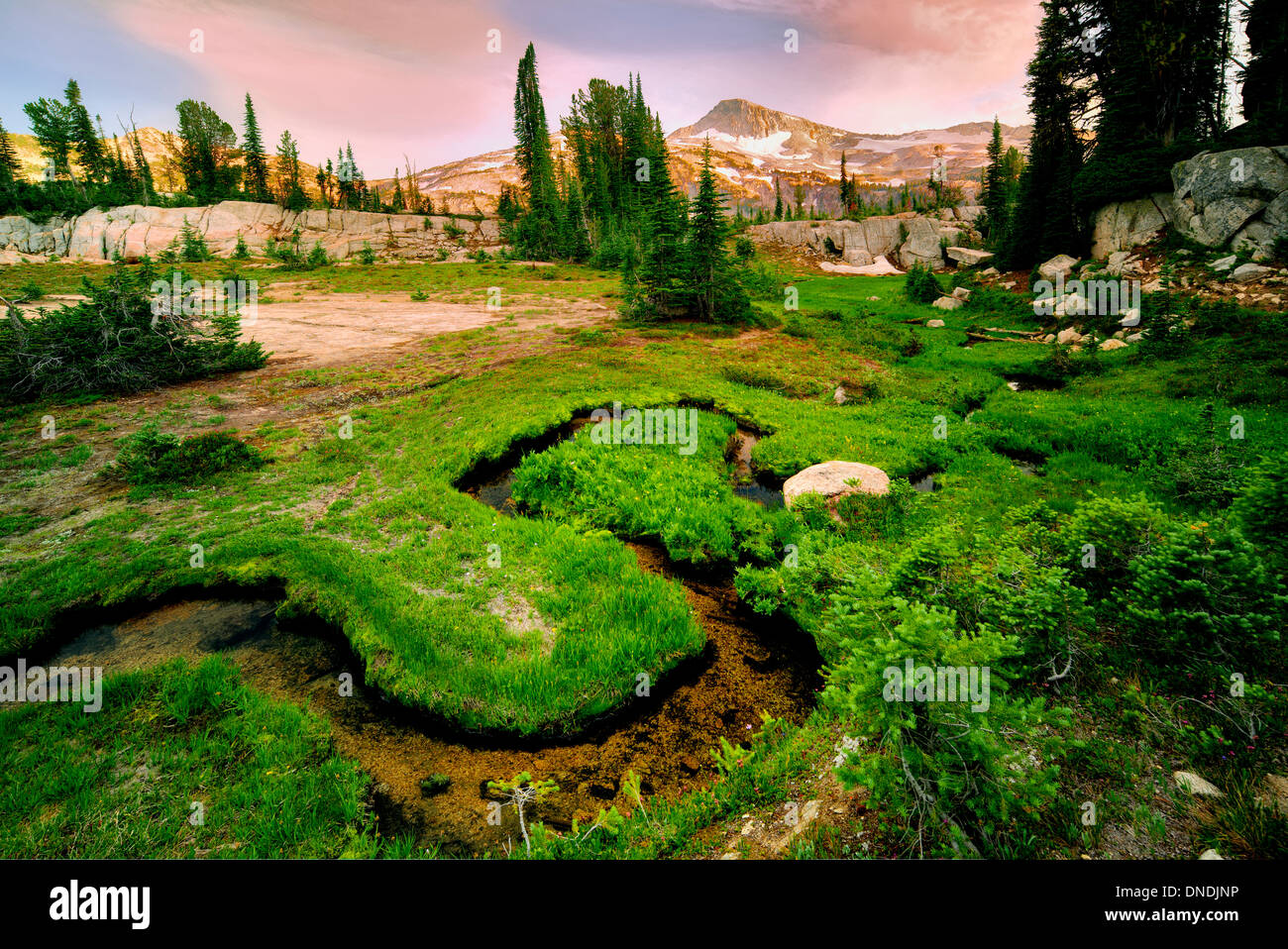 Small stream and meadow with Eagle Cap Mountain. Eagle Cap Wilderness, Oregon Stock Photo