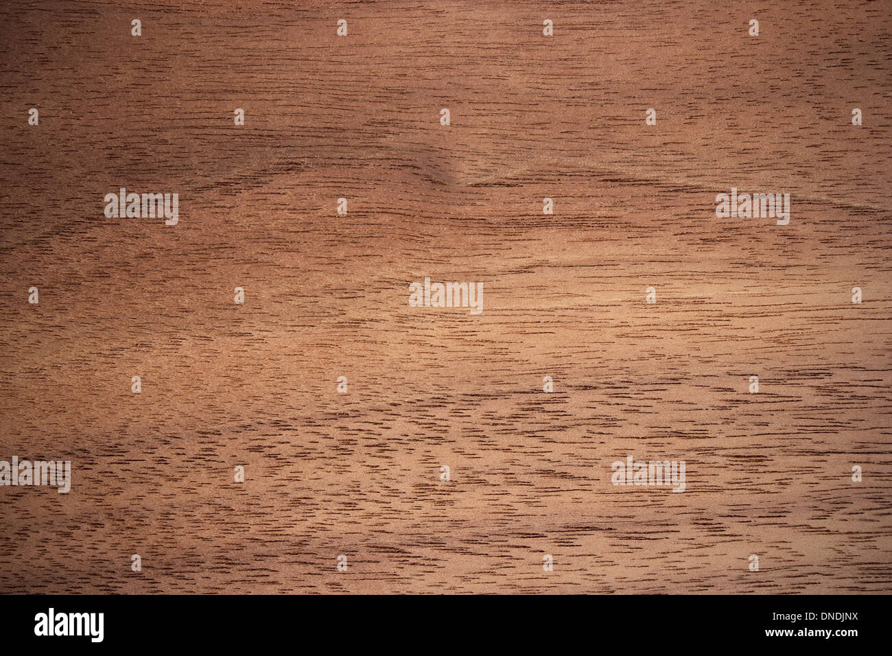 Wood surface, american walnut (Juglans nigra) - horizontal lines Stock Photo