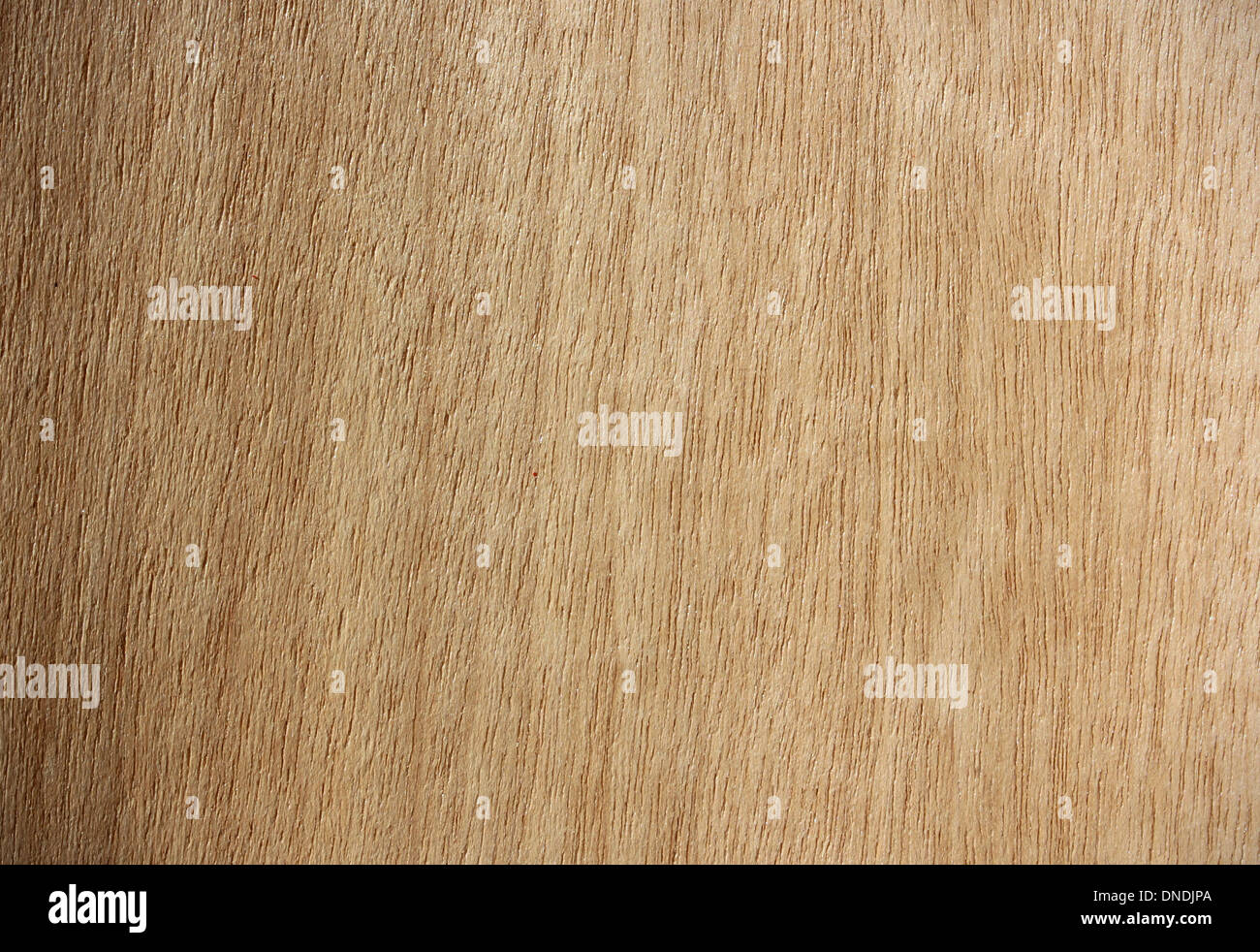 Wood surface, Aniegre (Pouteria/ Aningeria) - vertical lines Stock Photo