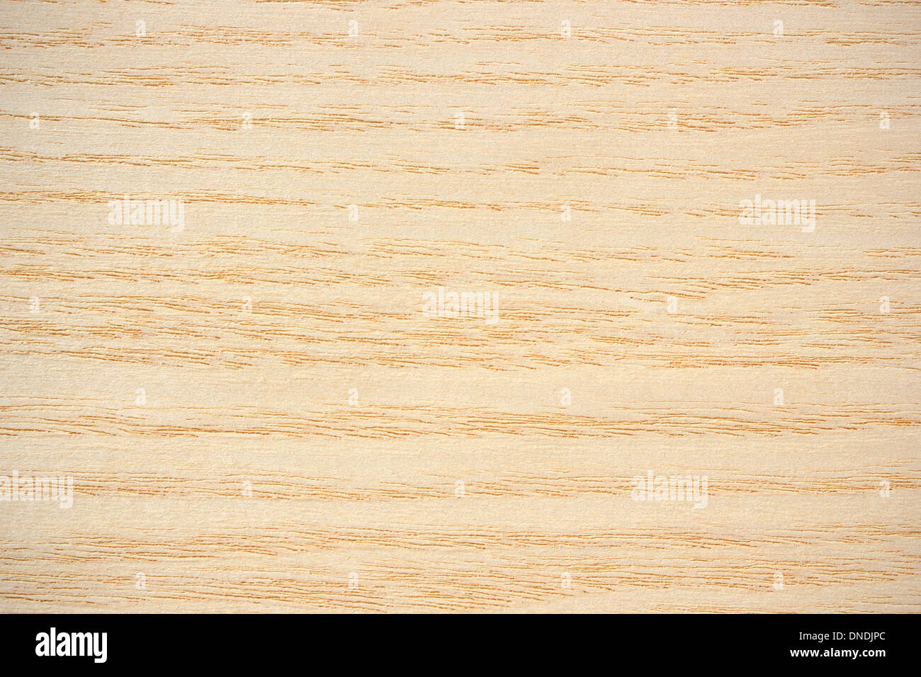 Wood surface, ash (Fraxinus) - horizontal lines Stock Photo