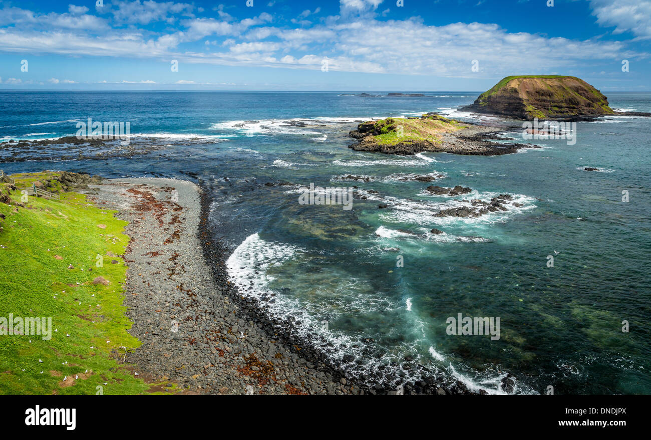 The Nobbies at Phillip Island, Victoria, Australia Stock Photo