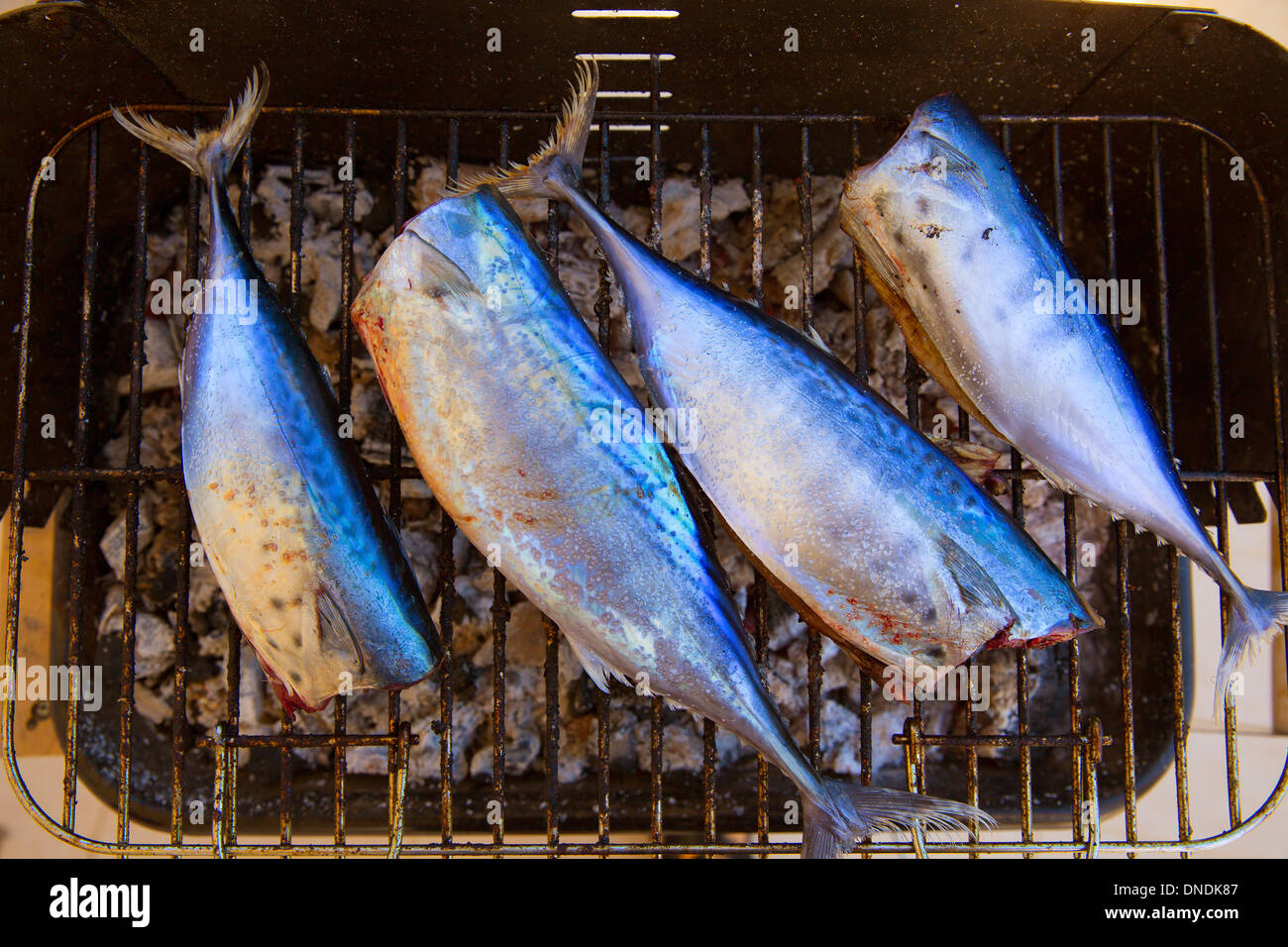 Bar-b-cue tuna fish barbecue with bonito sarda and little tunny Stock Photo