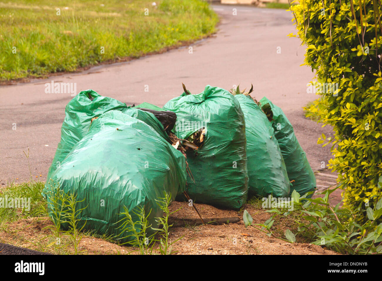 Green garbage bags waiting for collection on side of road Stock Photo