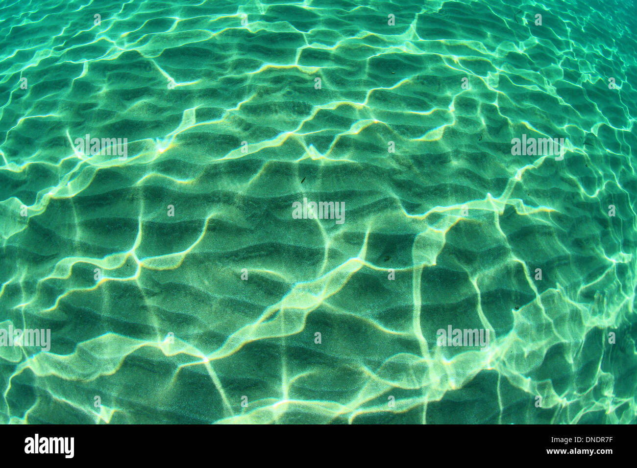 the clear warm seawater incite discover the marine world Stock Photo