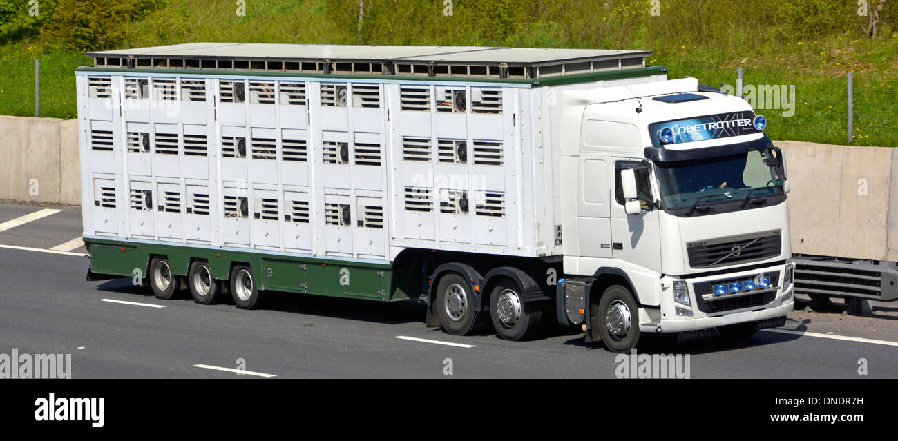 Food supply chain hgv haulage business white lorry truck & articulated