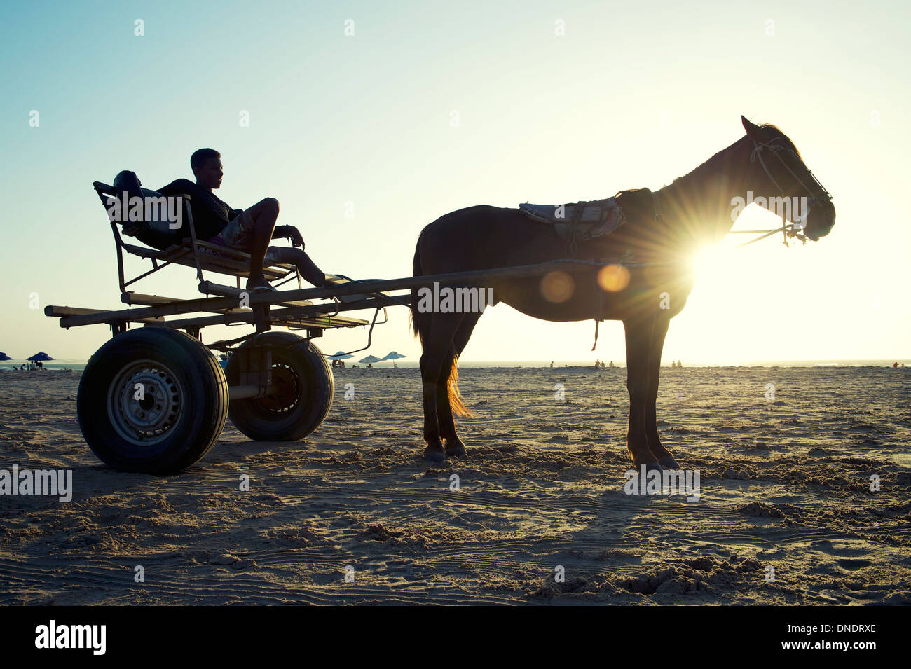 Traditional horse and cart stand in front of golden sunset on Brazilian beach in Jericoacoara Nordeste Brazil Stock Photo