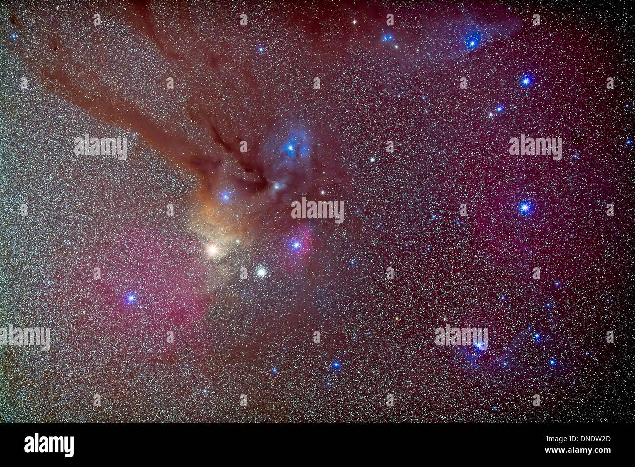 Head of Scorpius with celestial deep sky objects. Stock Photo