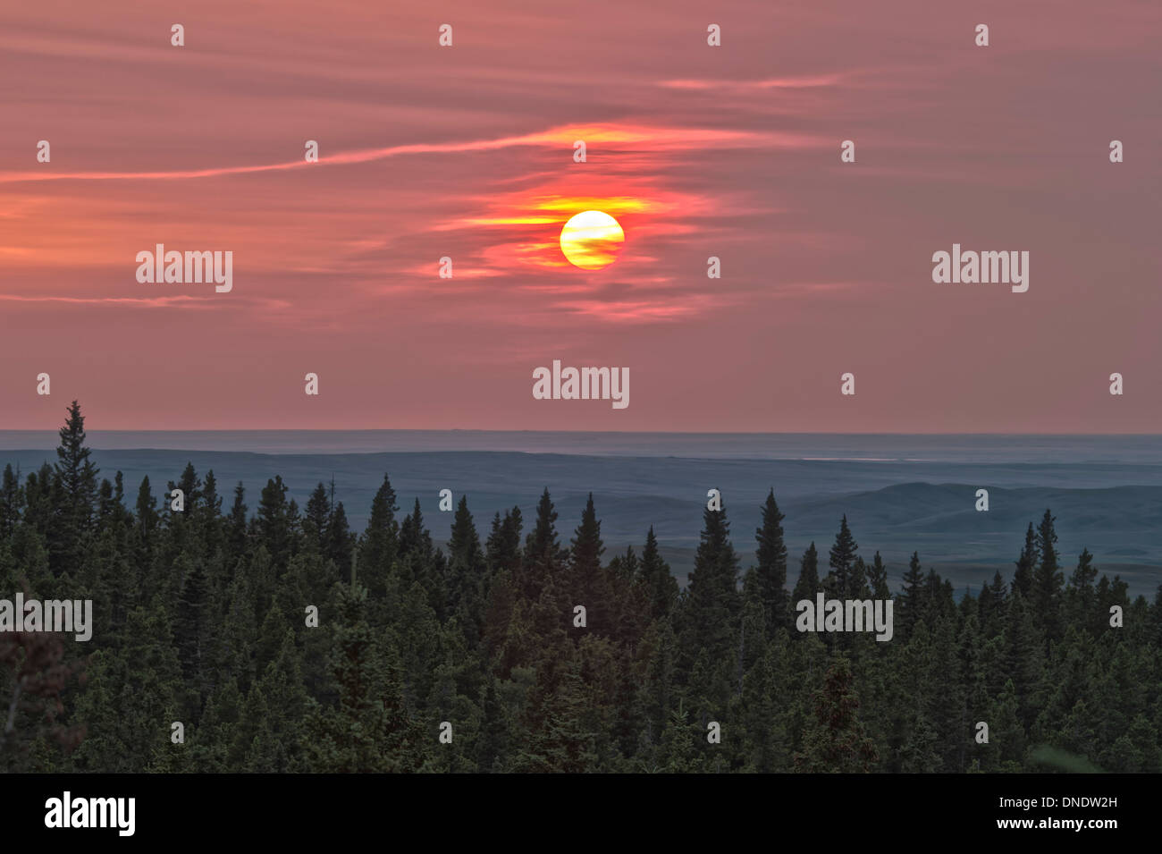 Cypress hills alberta hires stock photography and images Alamy