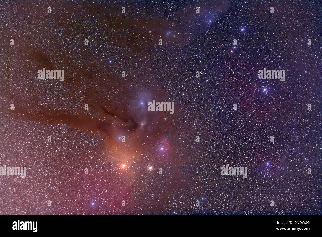 Antares and Scorpius Head area with Rho Ophiuchi nebulosity field oriented equatorially. Stock Photo